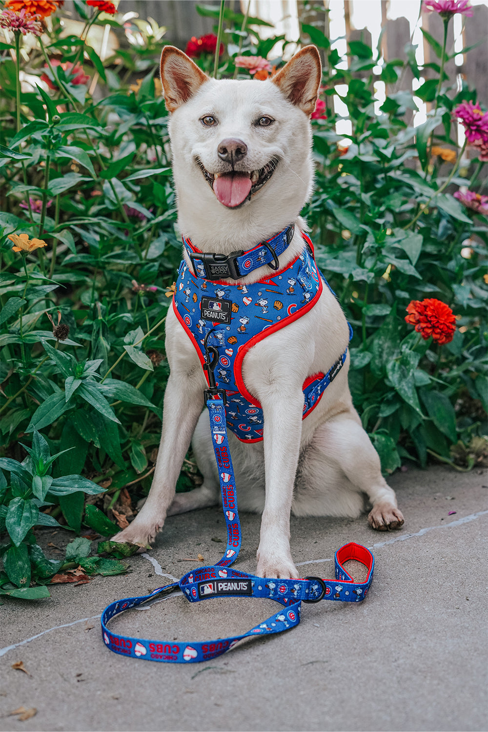 Dog Adjustable Harness - MLB™ x Peanuts™ Chicago Cubs™