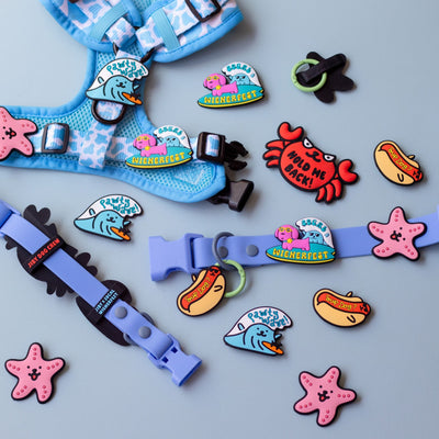 Starfish Jiby Dog Charm