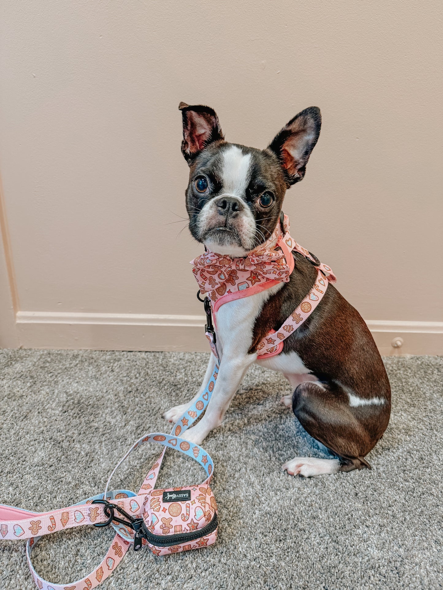 Dog Adjustable Harness - Dough My Goodness