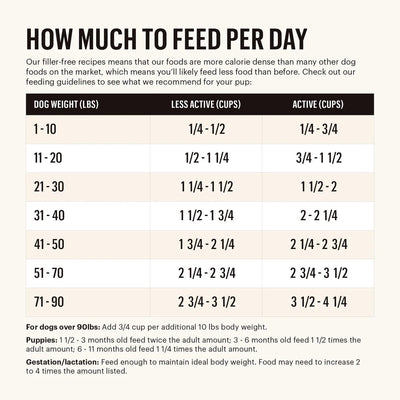 Honest Kitchen Clusters Small Breed Grain Free Beef Dry Dog Food (4lb)