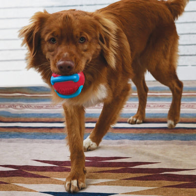 Kong Jaxx Brights Tug w/Ball Medium