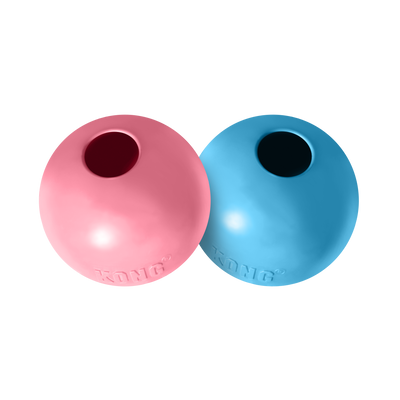 Kong Puppy Ball With Hole Small