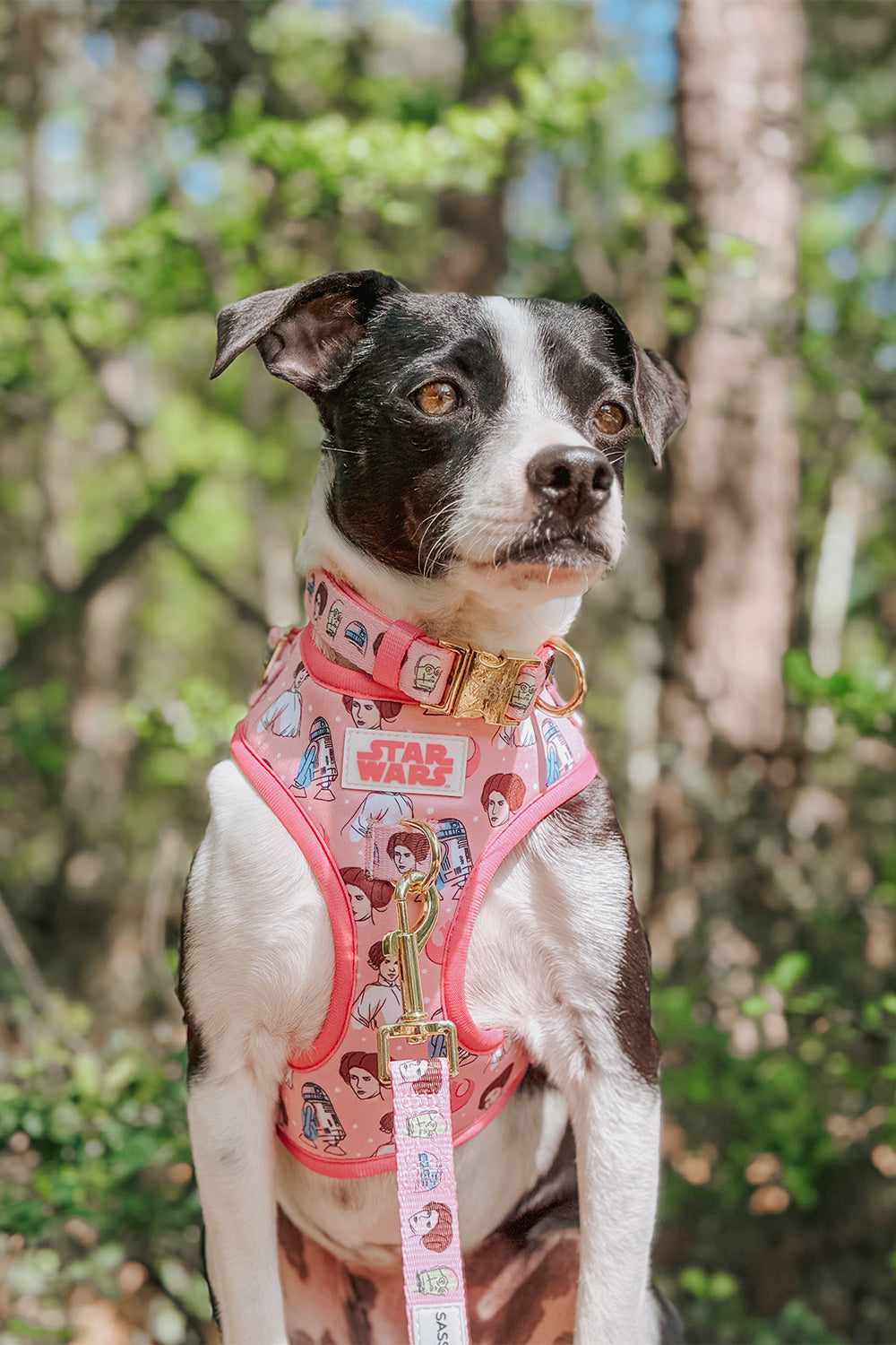 Dog Adjustable Harness - STAR WARS™ Princess Leia