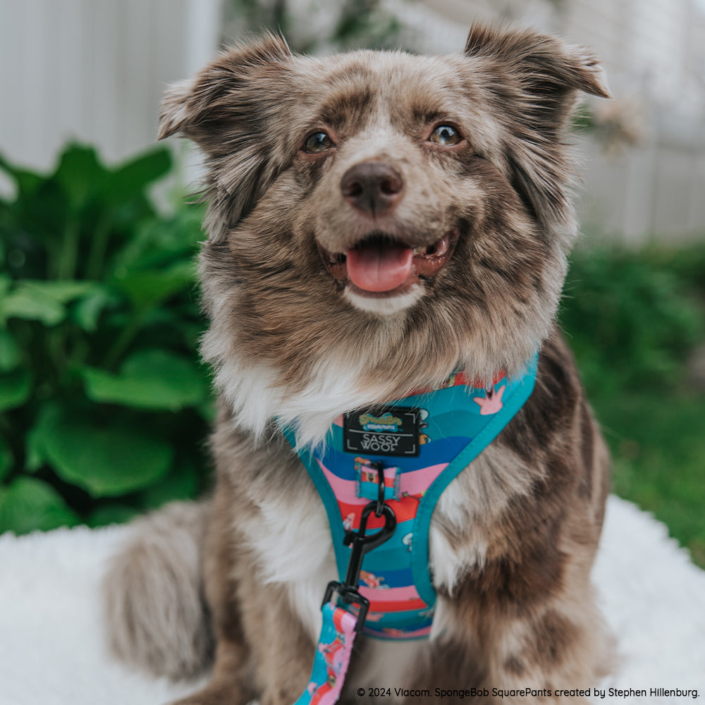 Dog Adjustable Harness - SpongeBob SquarePants™ and Friends