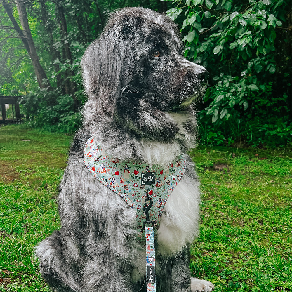 Dog Leash - Disney's Snow White
