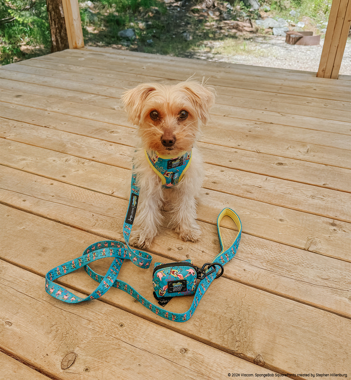 Dog Adjustable Harness - SpongeBob SquarePants™ Jelly Fishin'