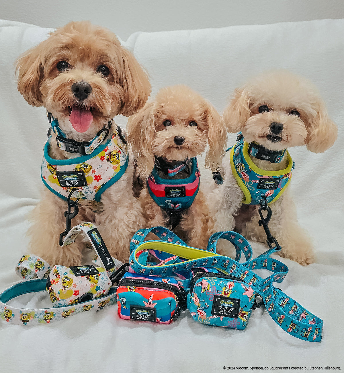 Dog Collar - SpongeBob SquarePants™ and Friends