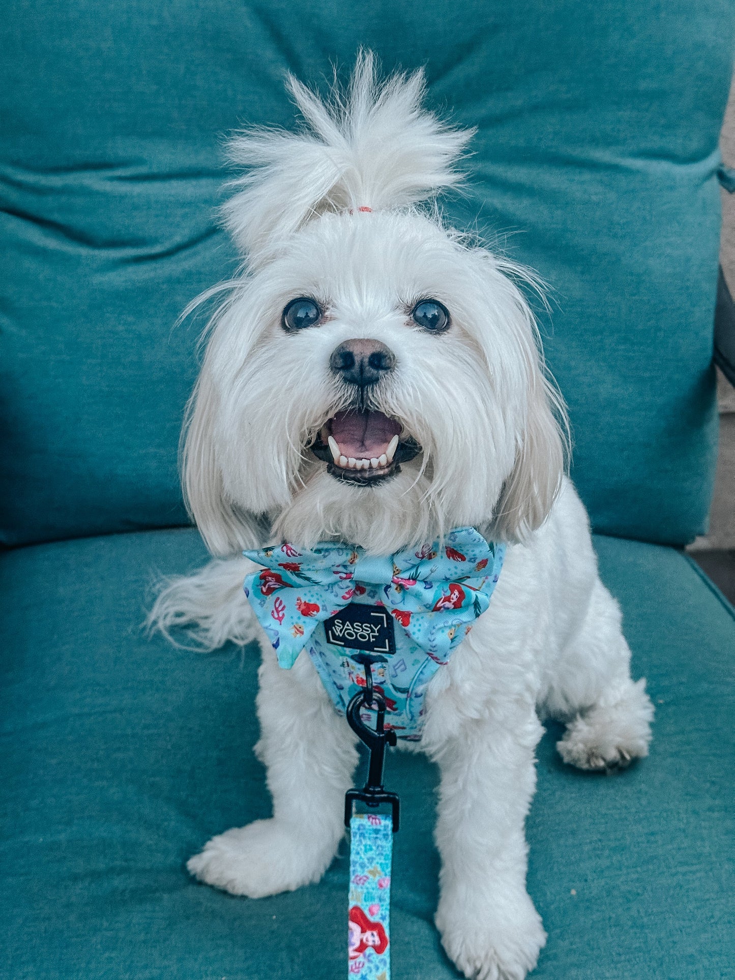 Dog Leash - Disney's Ariel