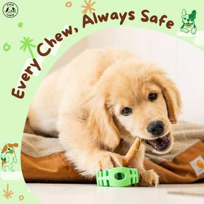 SafetyChew+ Medium Dog Starter Pack: Heavy-Duty Bully Stick Holder & All-Natural Bully Sticks for Dogs 16-39+lbs