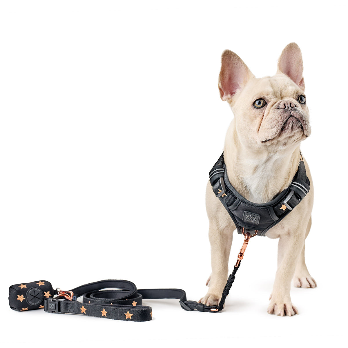 Poop Bag Holder - Rockstar