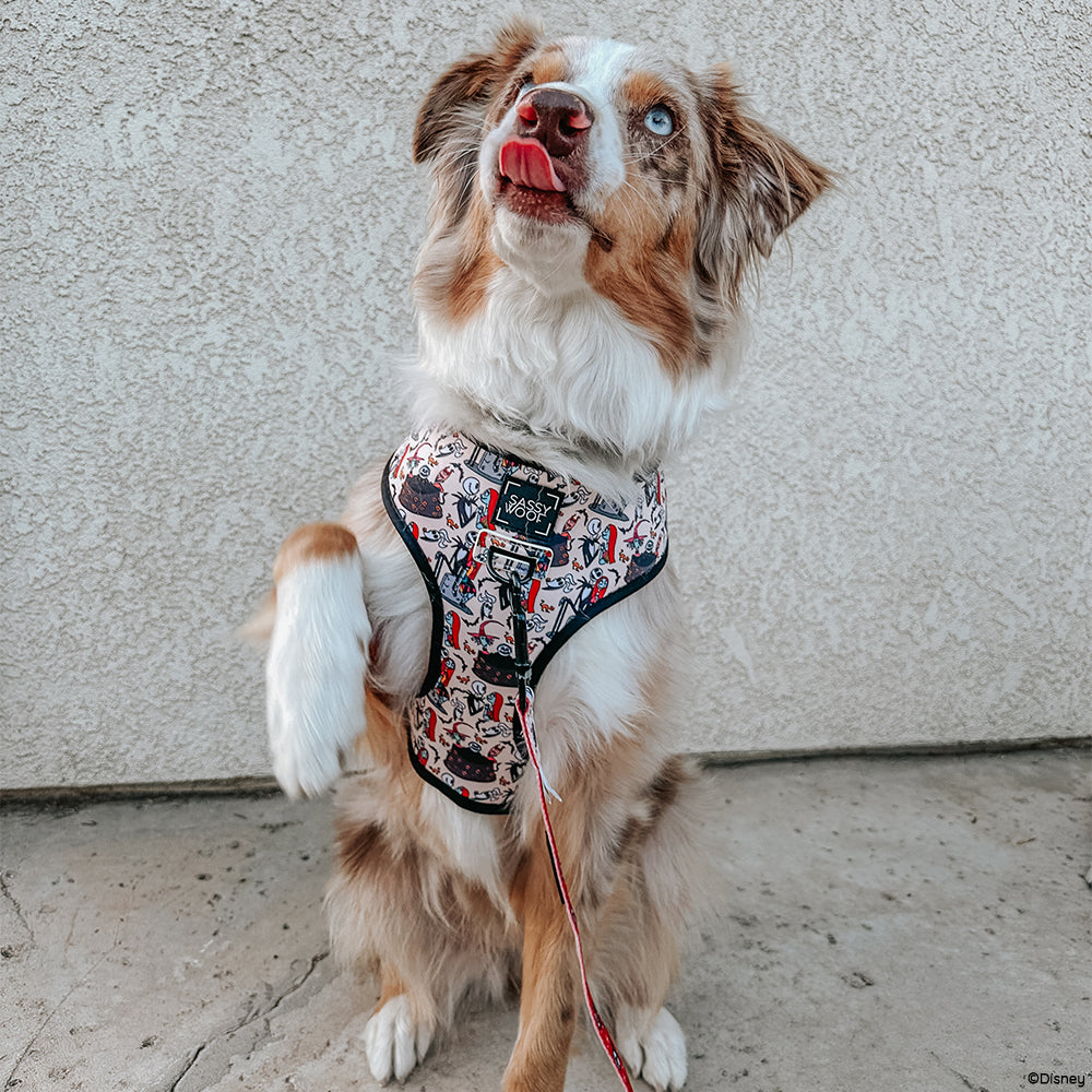 Dog Collar - The Nightmare Before Christmas™ (Beige)