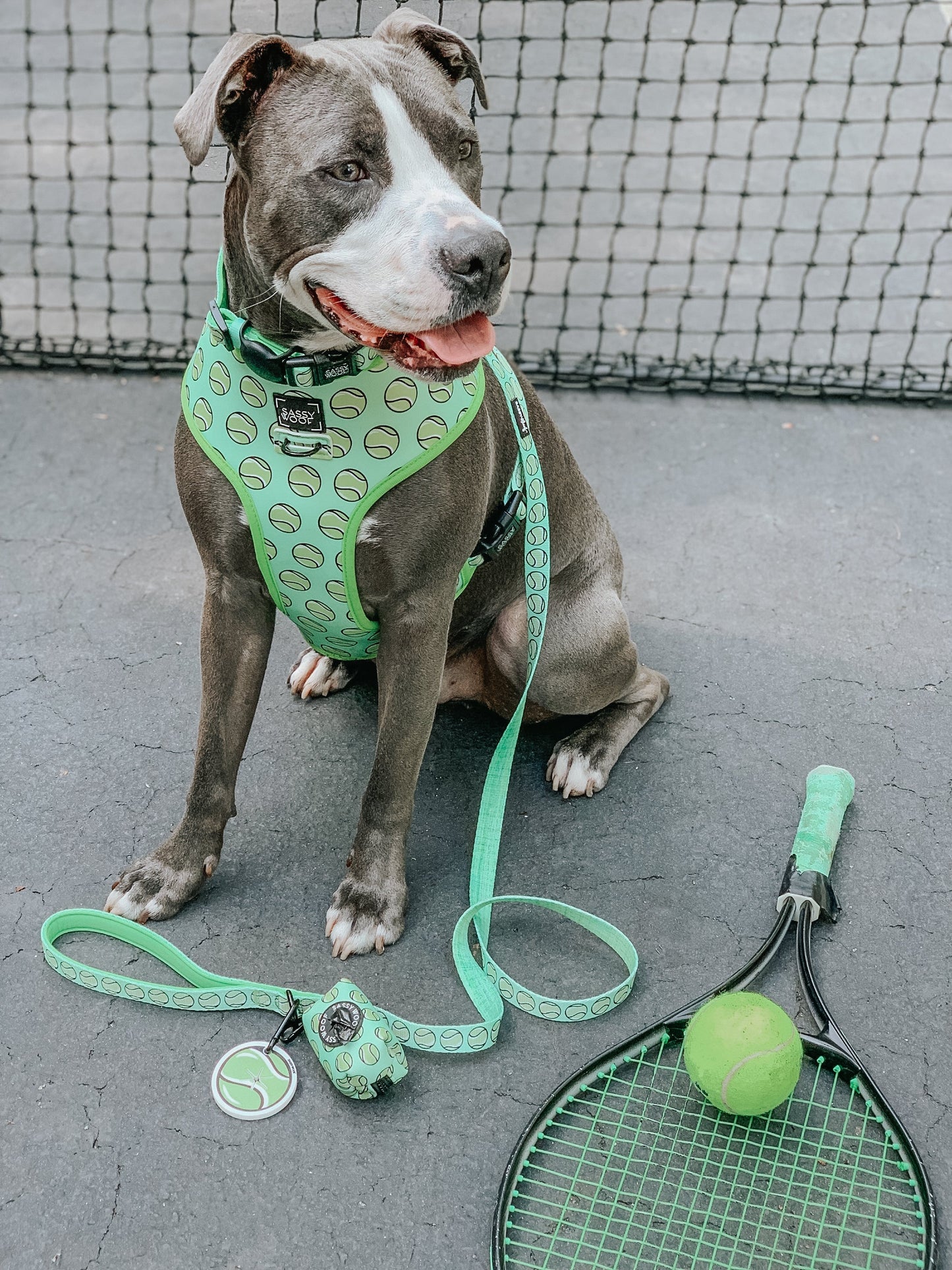 Dog Reversible Harness - Serving Up Sass