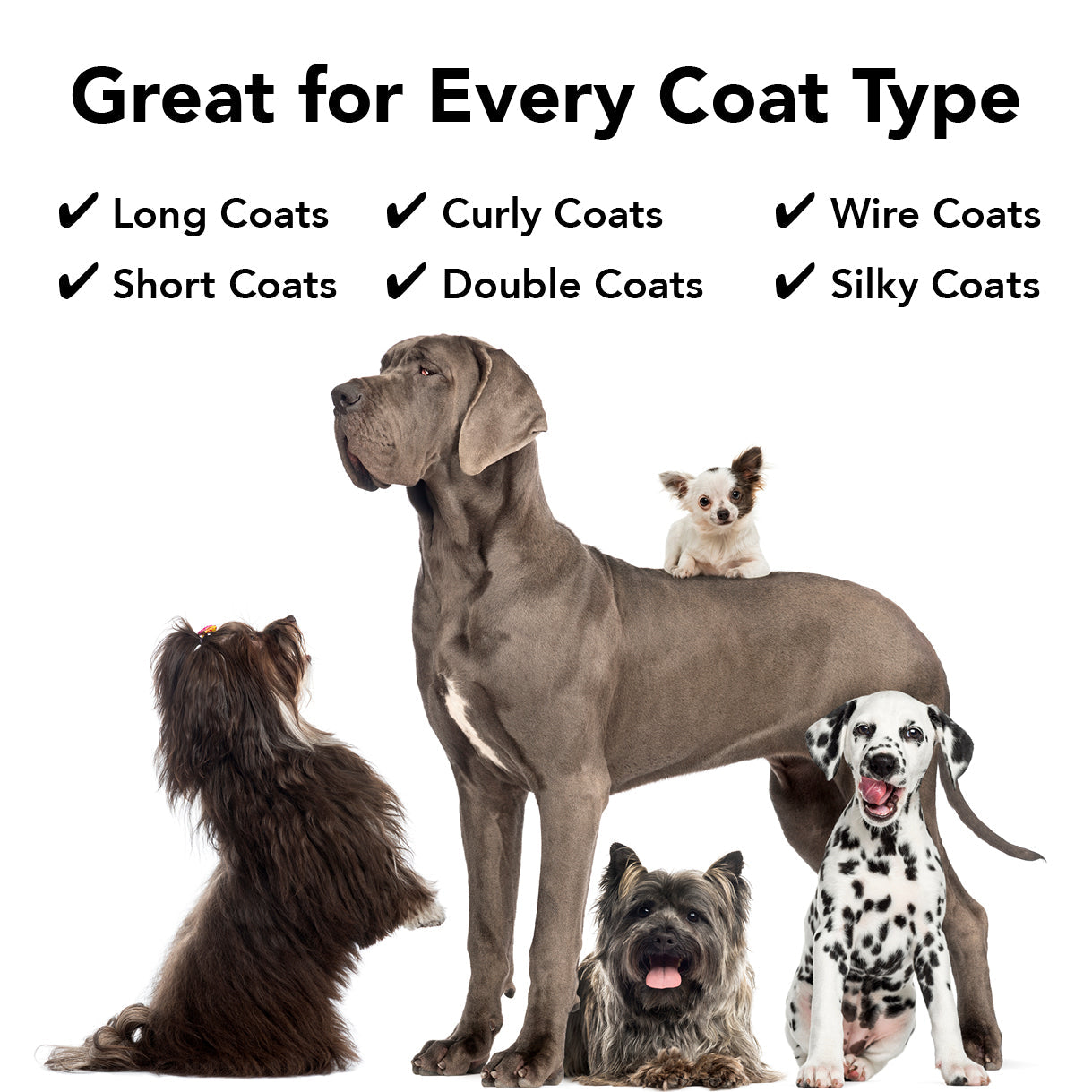 FLEA + TICK SHAMPOO