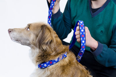 cuteNfuzzy® Padded Adjustable Patterned Dog Collar with Warranty