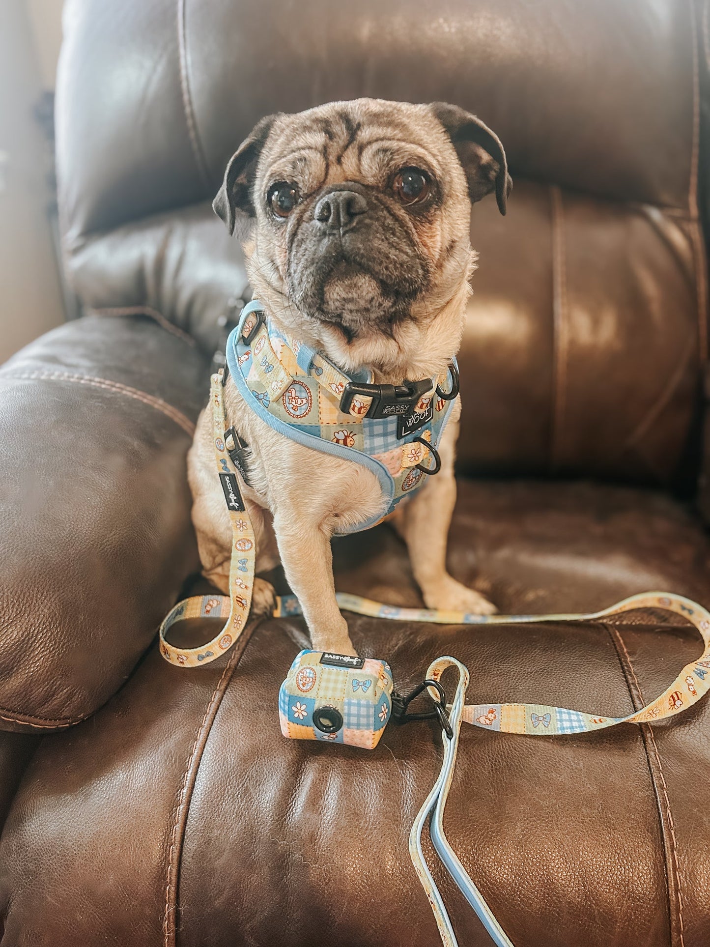 Dog Leash - Patch Perfect