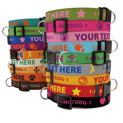 Personalized Solid Colored Collar