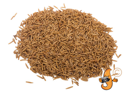 5LB Chubby Dried Black Soldier Fly Larvae