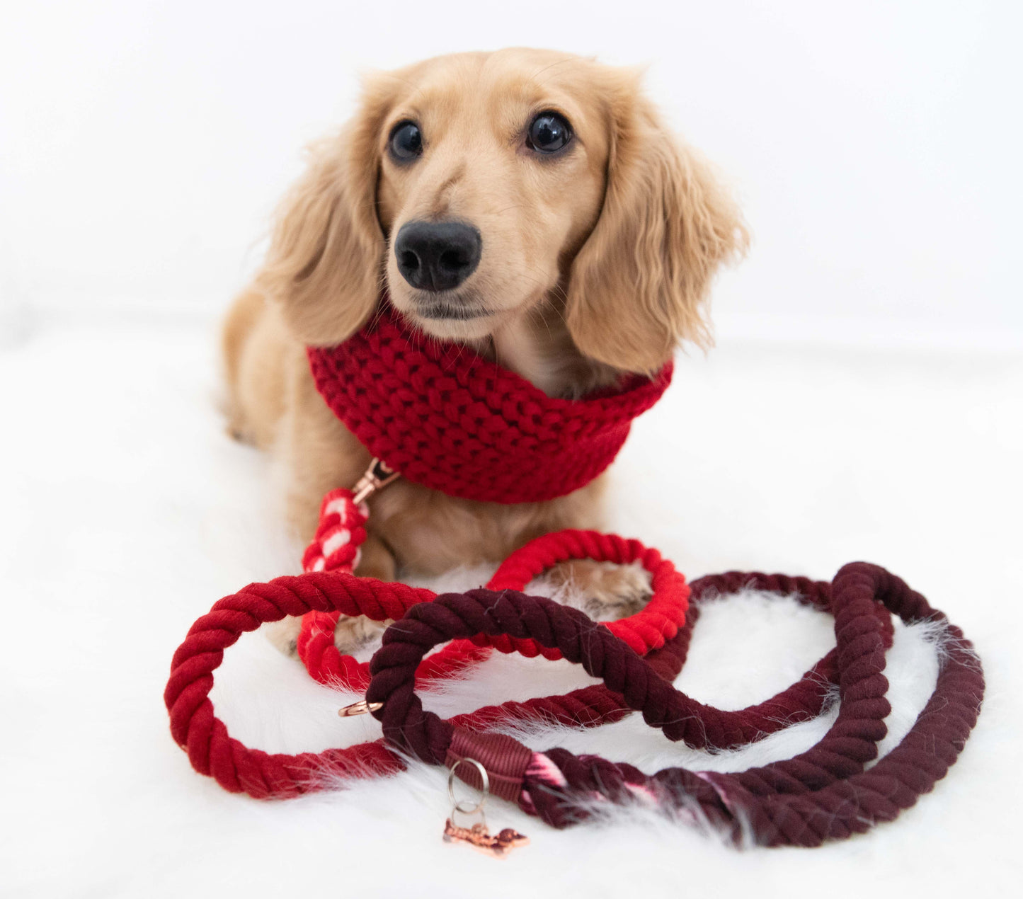 Dog Rope Leash - Ruby