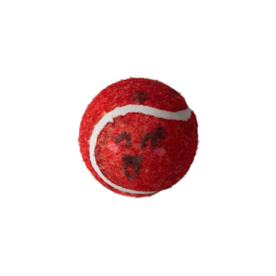 Behind Mars 2pk Tennis Squeaky Balls
