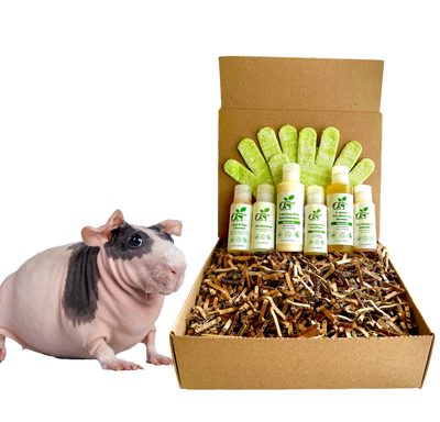 4-HAIRLESS PETS *SKINNYPIG REGULAR KIT