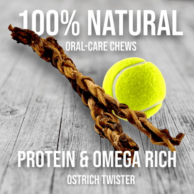Power Chewer Small Box — 6 Ostrich Treats for Serious Chewers