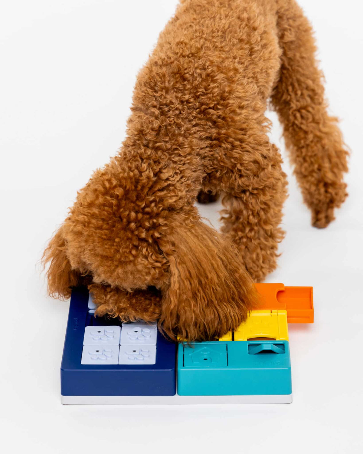 Pawzler Set - Smarty