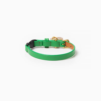 Spring Cat Collar
