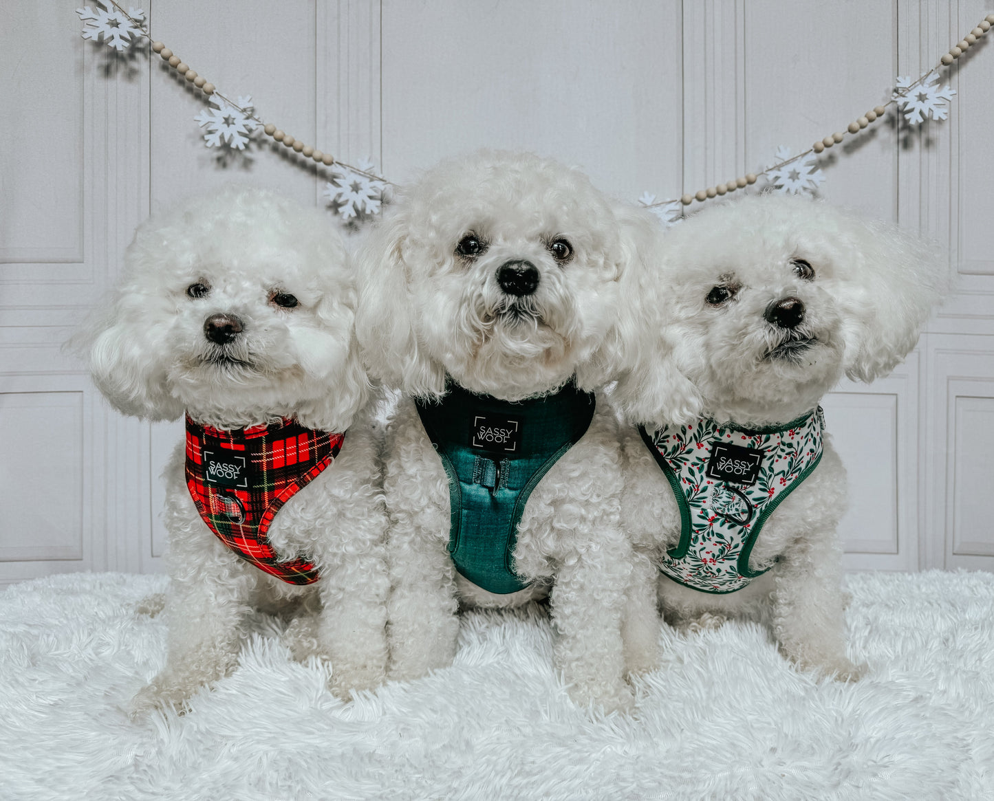 Dog Adjustable Harness - Under the Mistletoe