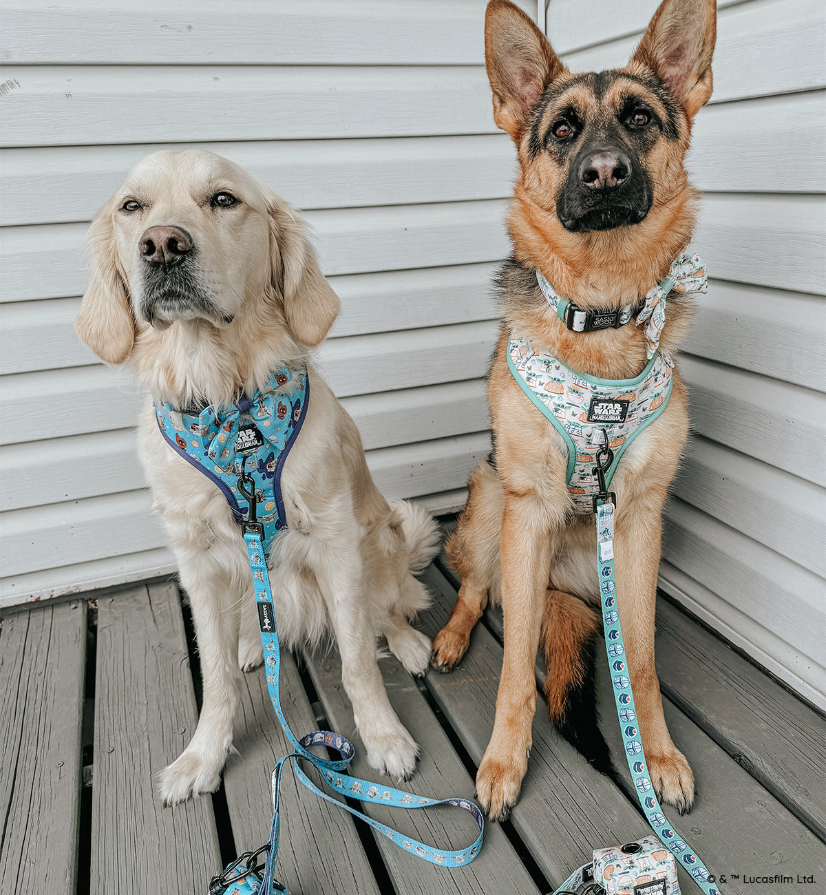 Dog Adjustable Harness - STAR WARS™ The Mandalorian™