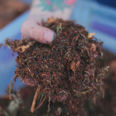 TropicalBase Terrarium Mix; Bioactive Ready to Use