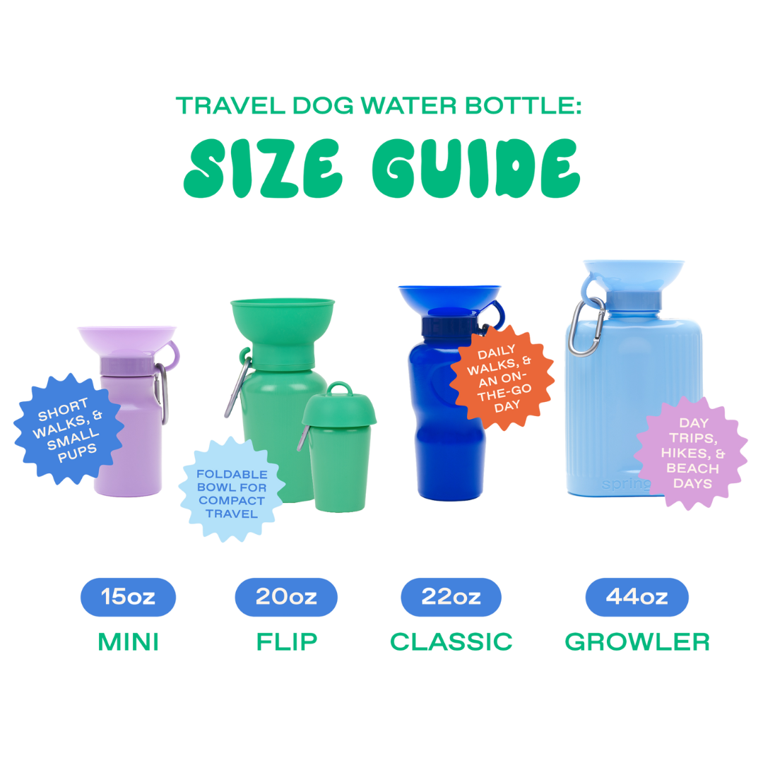 44oz Original Travel Dog Water Bottle