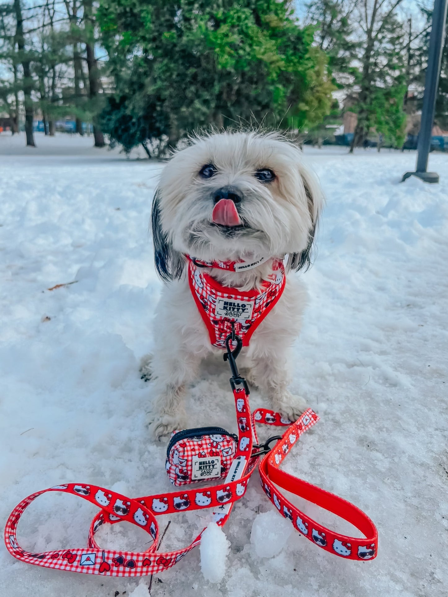 Dog Adjustable Harness - Hello Kitty® Red Classic