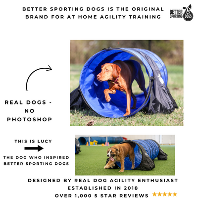 Better Sporting Dogs 10 ft Dog Agility Tunnel with Sandbags – Training Tunnel for Backyard Agility Courses