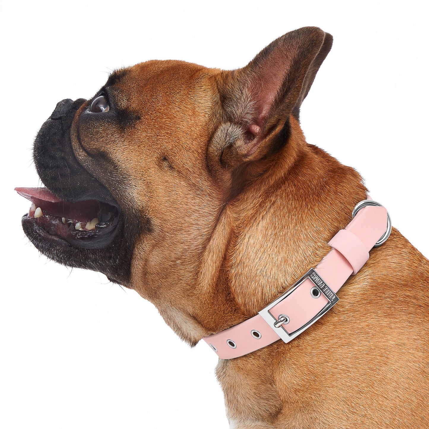 Collar Baby Pink