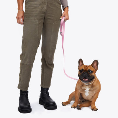 Leash Baby Pink