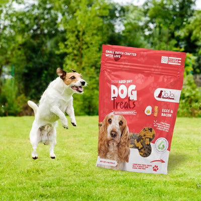 JoJo Good Chews Eggs & Bacon Soft Dog Treats, 2-Pack