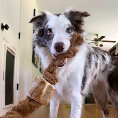 Coconut Rope & Root Chew