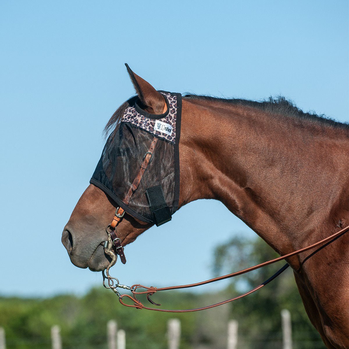 Cashel Quiet Ride Horse Fly Mask for Insect Control & Protection