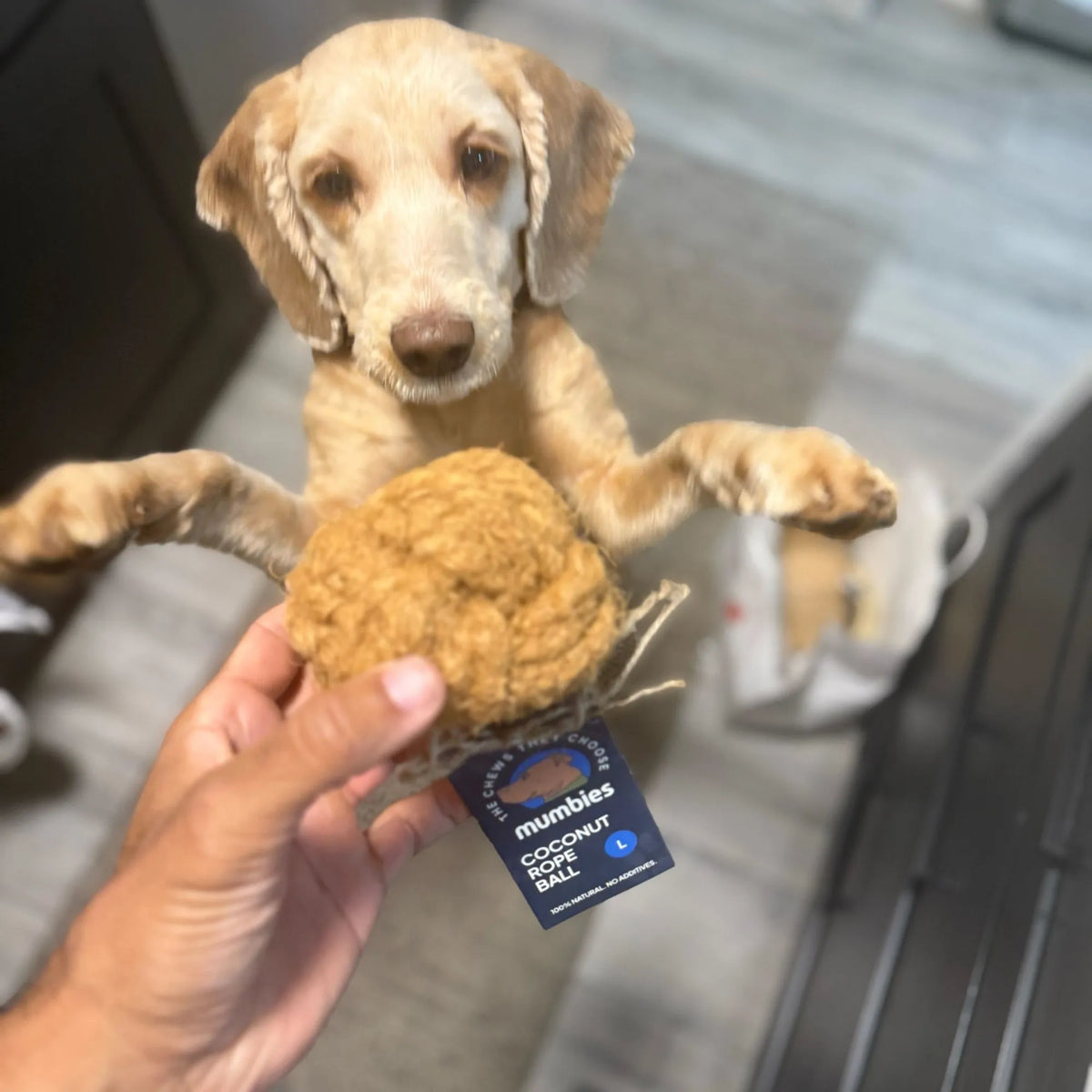 Coconut Rope Ball