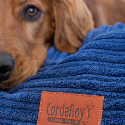 30 Inch Forever Dog Bed (Waterproof) - Terry Corduroy