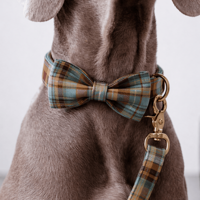 Autumn Blue Plaid Set
