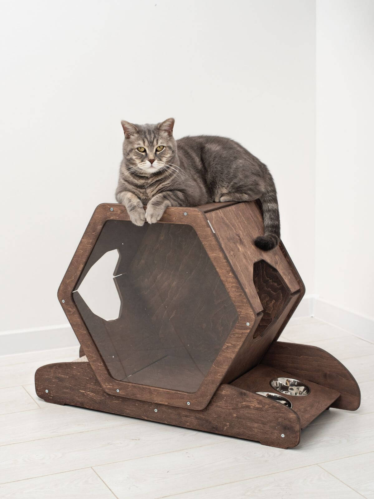 Cat Wall Mounted Bed