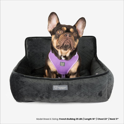 The Car Seat Charcoal Gray M