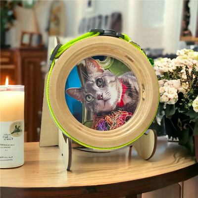 Cat Collar Frame and Stand Bundle | "The Garfield"
