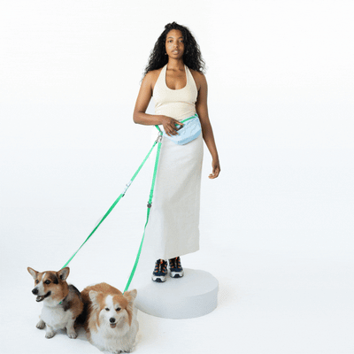Hands-Free Dog Walking Bag with 4ft Leash