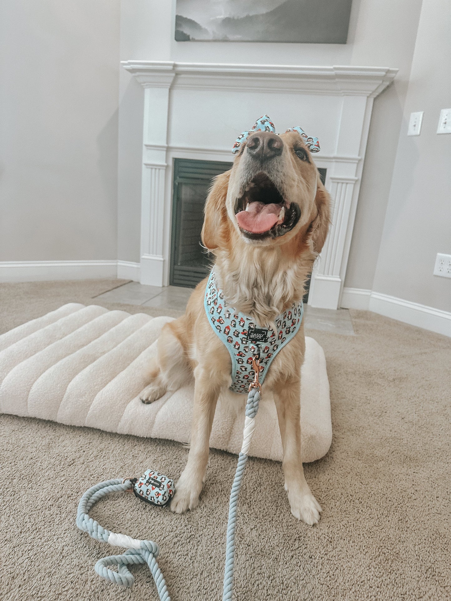 Dog Adjustable Harness - Winter Waddleland