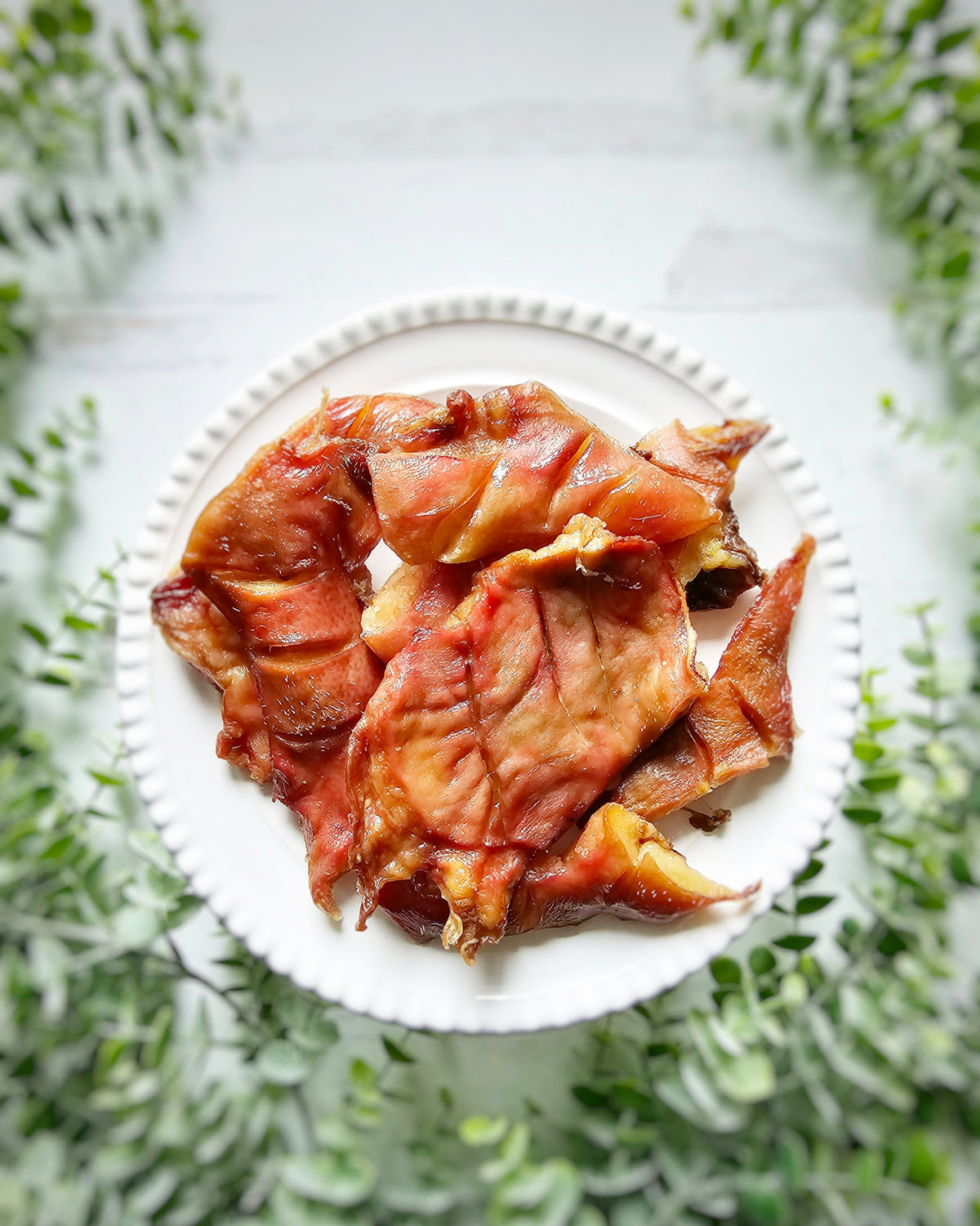 Pig Snout