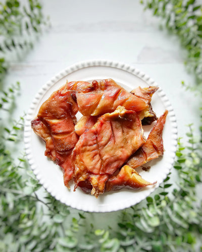 Pig Snout