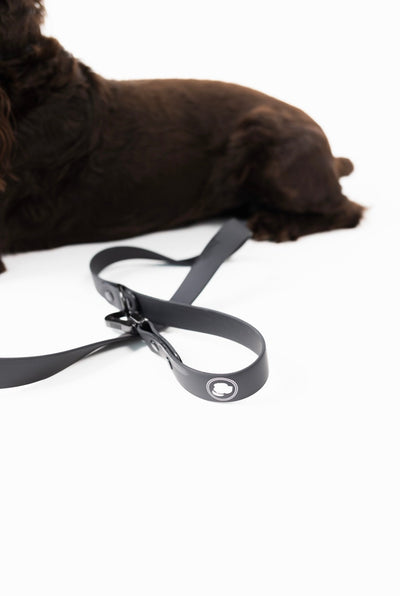 The Modern Dog Company - Better in Black Leash