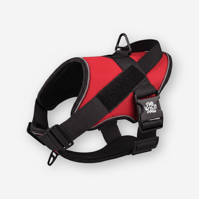 TrailBlaze Tactical Harness